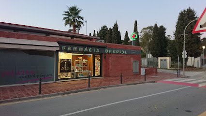 Farmacia Farmacia AMETLLAREDA en Sant Andreu de Llavaneres