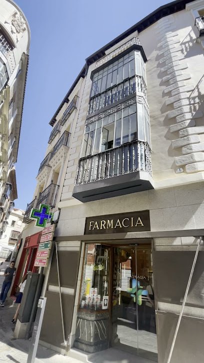 Farmacia Farmacia Beatriz Gonzalez Alvarez en Toledo
