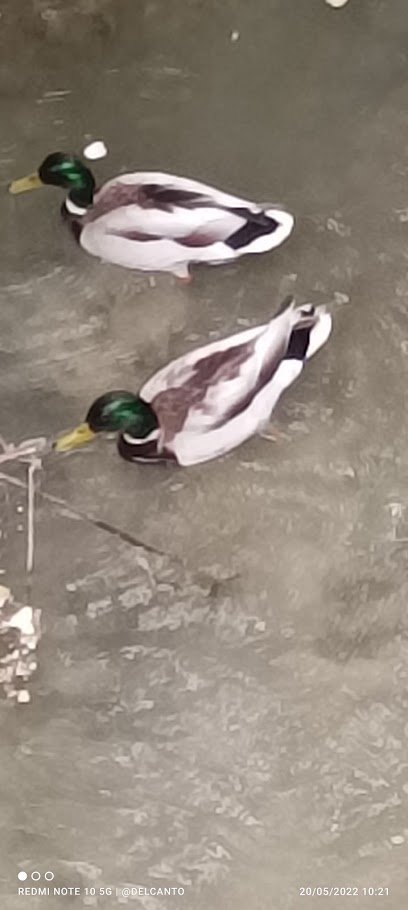 Farmacia Farmacia Maria Begona Ugarte en Mutilva