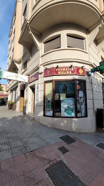 Farmacia Farmacia Molina en Malaga