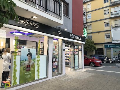 Farmacia Farmacia Molino De la Vega en Huelva