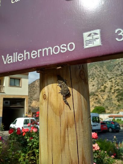 Farmacia Farmacia Vallehermoso en La Gomera
