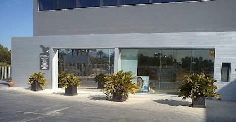 Farmacia Farmacia Vicente Gimeno en Elche